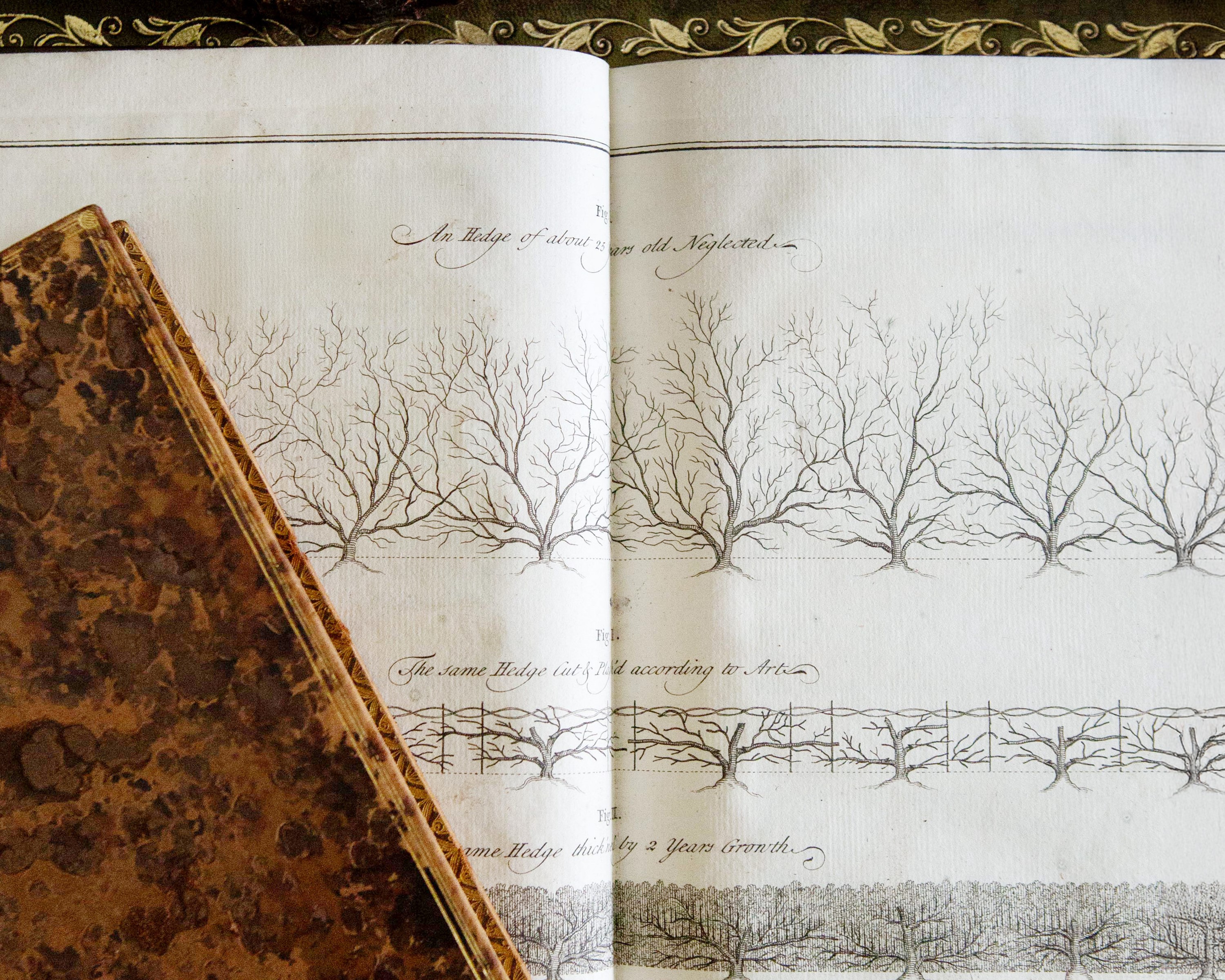 Rare Books & Works on Paper