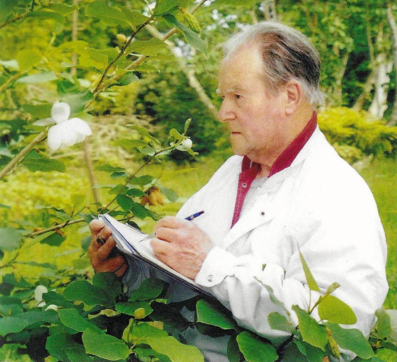 Pat Paton