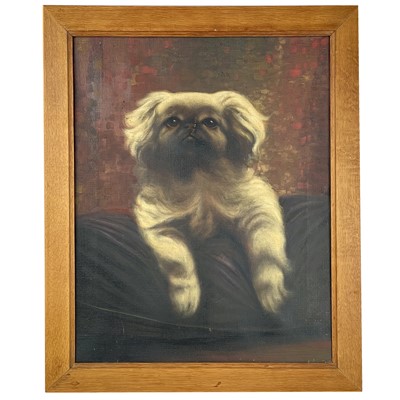 Lot 232 - Pekinese portrait.