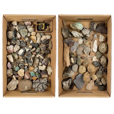 Lot 256 - A large collection of minerals and fossils.