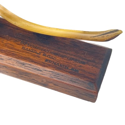 Lot 414 - A Chinese carved horn model of a lion, early 20th century.