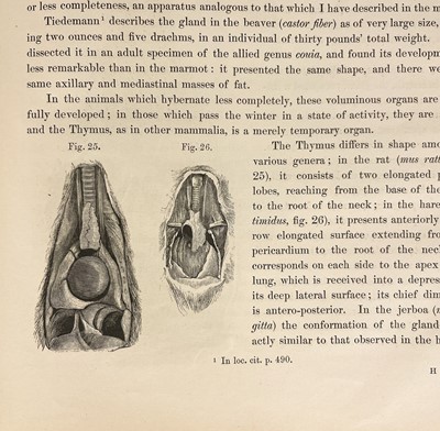 Lot 302 - A PHYSIOLOGICAL ESSAY ON THE THYMUS GLAND By John Simon FRS (1845)