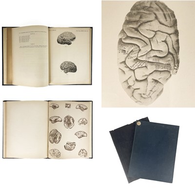 Lot 301 - The Cerebral Cortex and the Motor Cortex. Two works