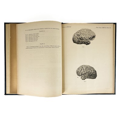 Lot 301 - The Cerebral Cortex and the Motor Cortex. Two works