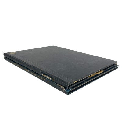 Lot 301 - The Cerebral Cortex and the Motor Cortex. Two works