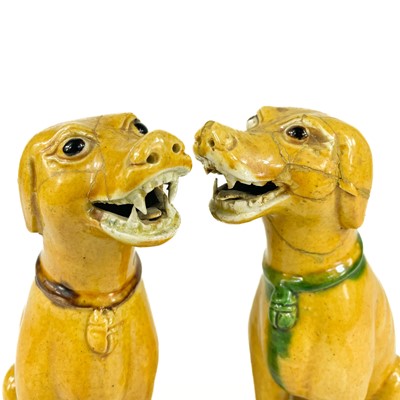 Lot 67 - A pair of Chinese export famille verte sancai-glazed dogs, 18th/19th century.