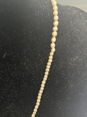 Lot 444 - A Georgian graduated natural saltwater pearl necklace with rose gold seed pearl and hair panel clasp.