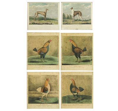 Lot 228 - Cock fighting prints, published by Pollard.