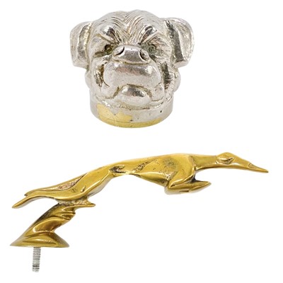 Lot 29 - A chrome plated bottle opener modeled as the head of a Mastiff type dog.