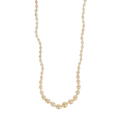 Lot 54 - A graduated cultured pearl necklace with gold and white metal clasp set with three diamonds.