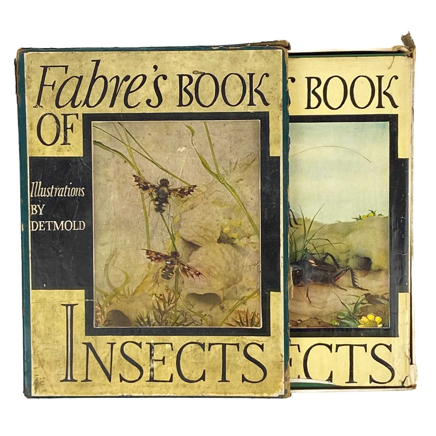 Bookflies Insect Lot 341 - FABRE`S `BOOK OF INSECTS