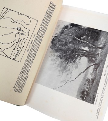 Lot 467 - Practical Landscape Painting