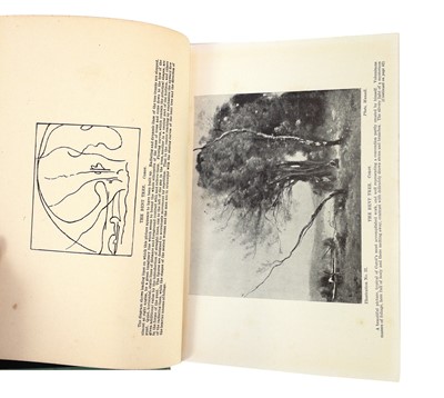 Lot 467 - Practical Landscape Painting