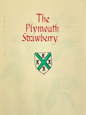 Lot 70 - The Plymouth Strawberry