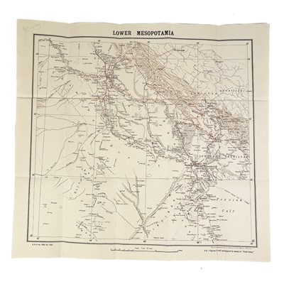 Lot 54 - 'Field Notes Mesopotamia'