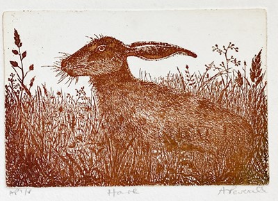 Lot 64 - Adrienne PEVERALL (XX-XXI, St Ives Society of Artists)