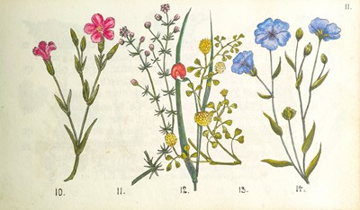 Lot 35 - (Botanical Sketchbook)