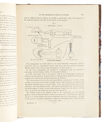 Lot 381 - MAMMALIAN NERVOUS SYSTEM