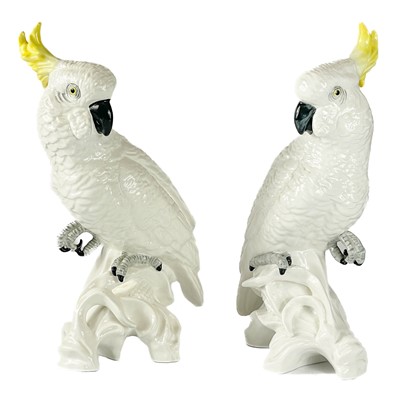 Lot 536 - A pair of Crown Staffordshire bone china cockatoos.