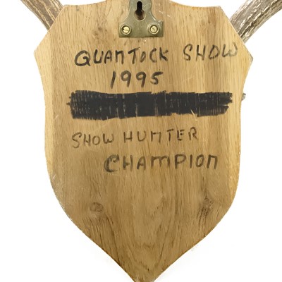 Lot 93 - A seven point antler with scull cap.