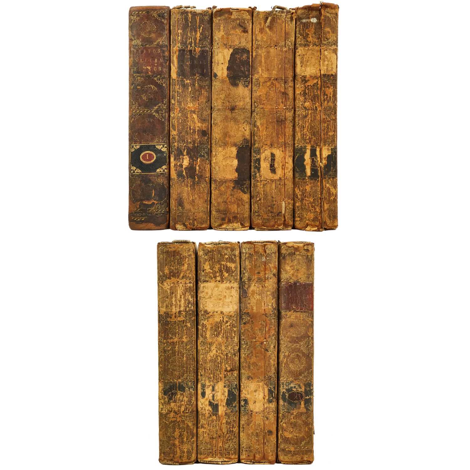 Lot 314 - Count De Buffon