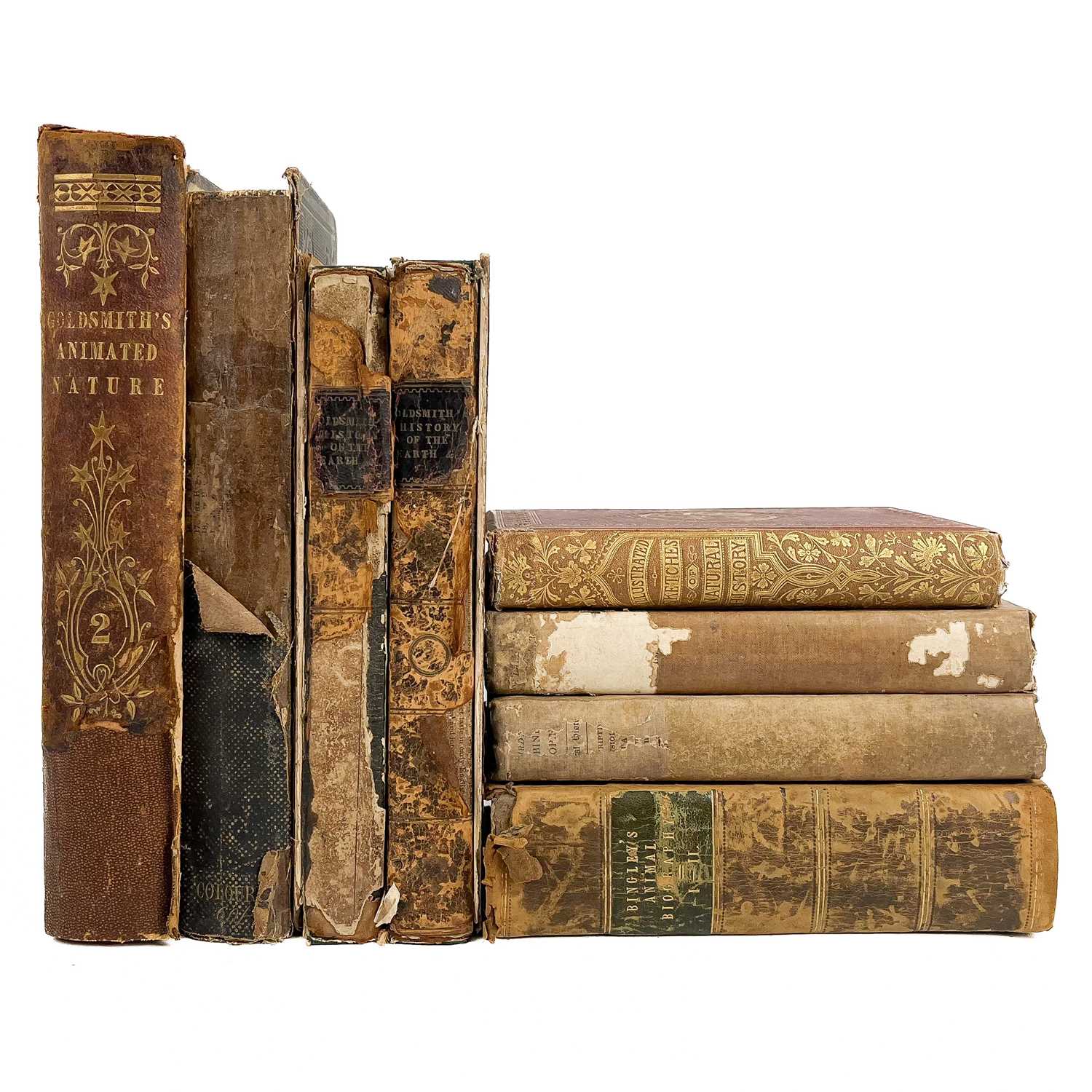 Lot 56 - (Natural History and Botany)
