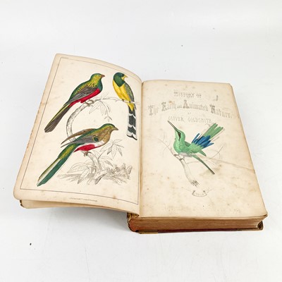 Lot 56 - (Natural History and Botany)