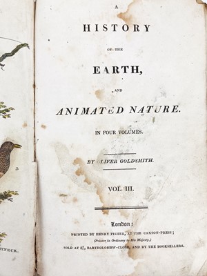 Lot 56 - (Natural History and Botany)