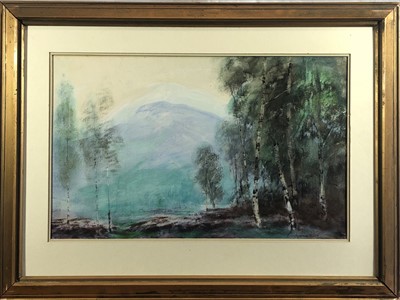 Lot 609 - Baragwanath KING (1864-1939) Birch Trees...