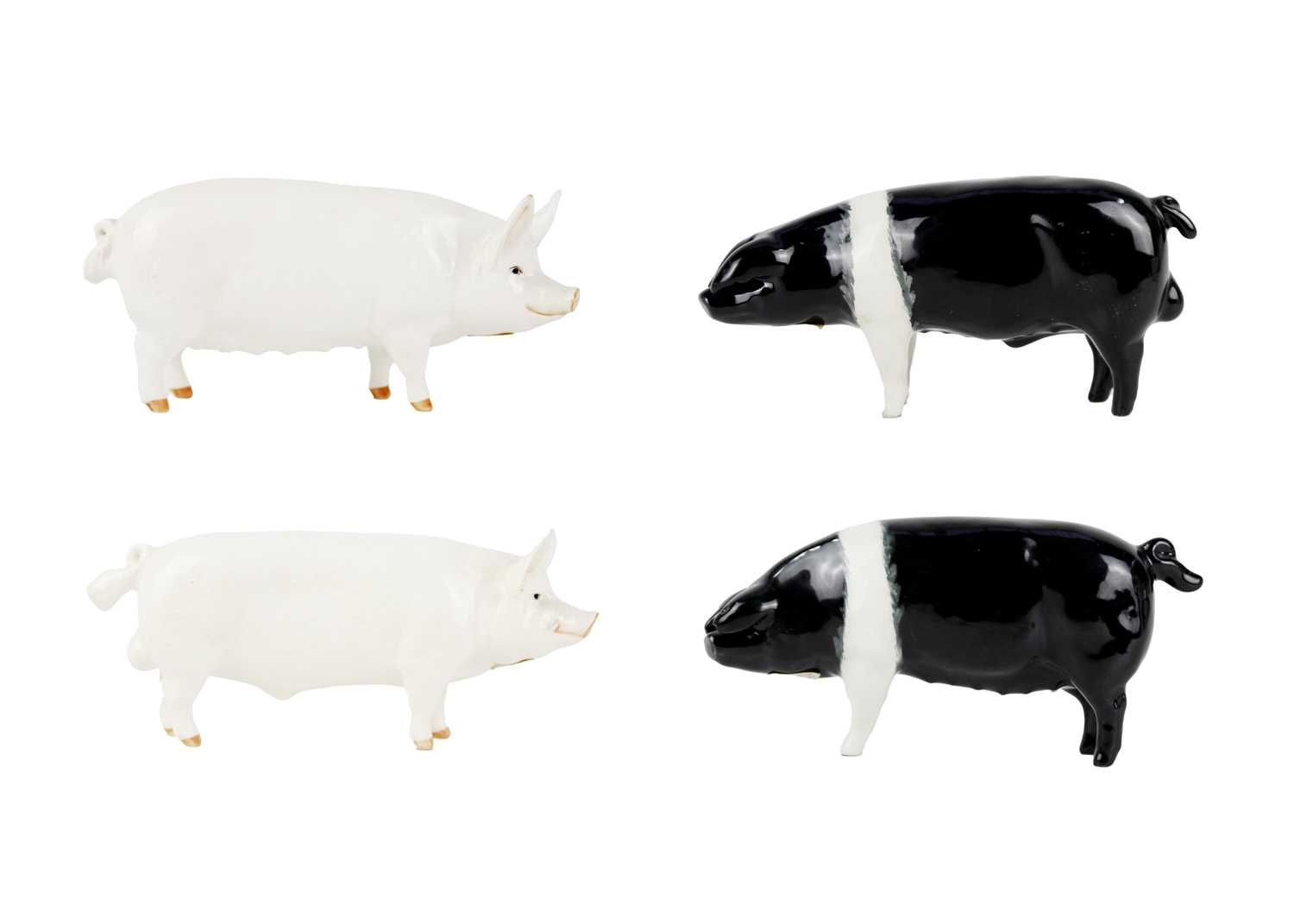 Lot 489 - Two Beswick Wessex Saddleback pigs.