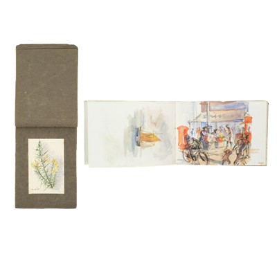 Lot 358 - An early 20th Century sketchbook of watercolours with a botanical interest