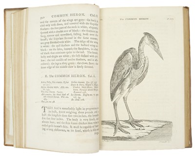 Lot 458 - (Thomas Pennant) Pennant's British Zoology