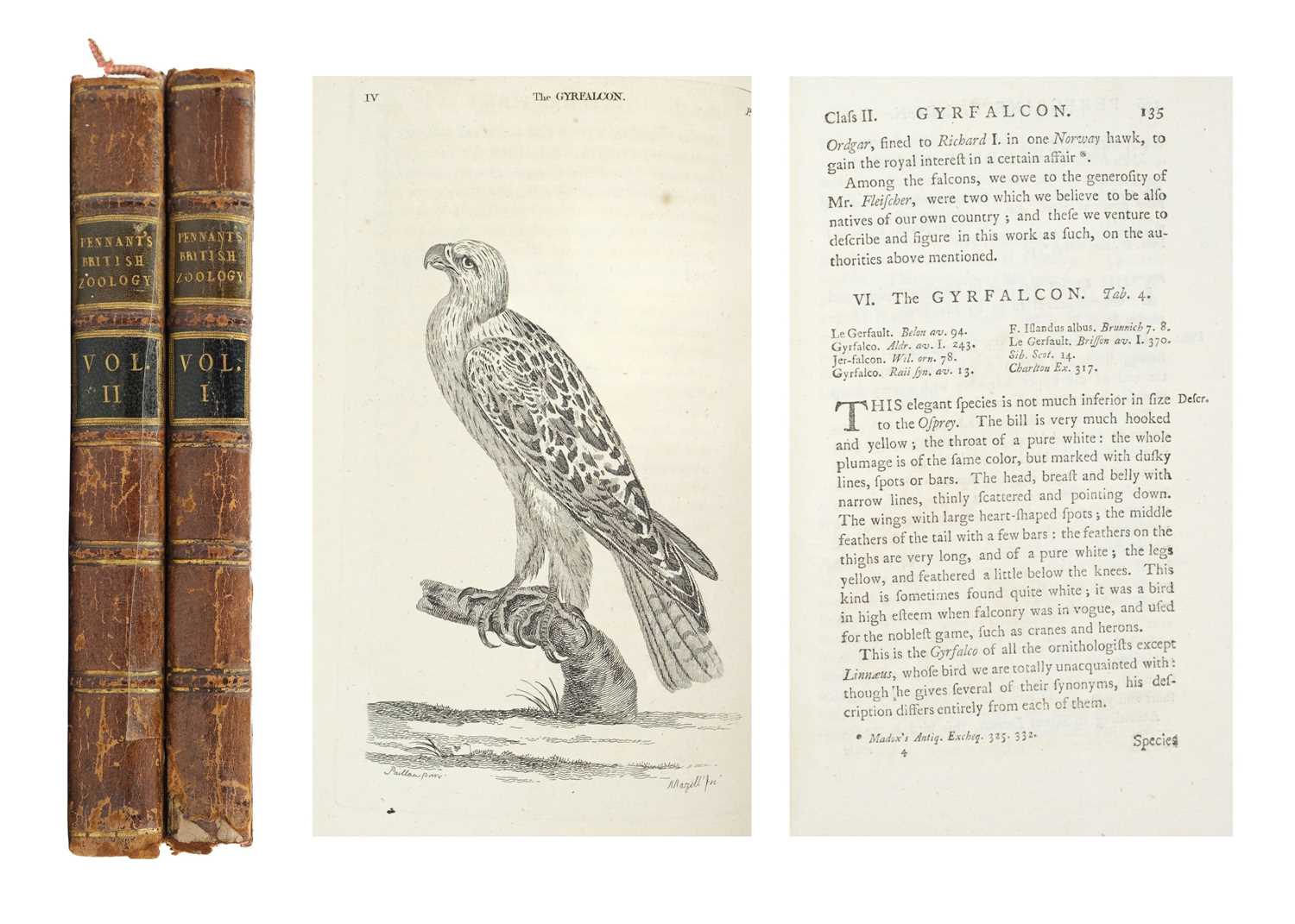 Lot 458 - (Thomas Pennant) Pennant's British Zoology