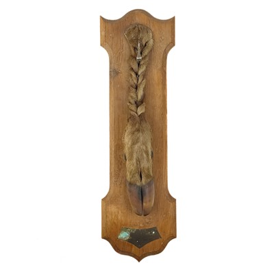 Lot 33 - A French taxidermy deer slot.