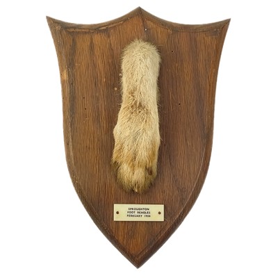 Lot 33 - A French taxidermy deer slot.