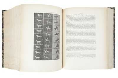 Lot 250 - Radioactivity Marie Curie Interest