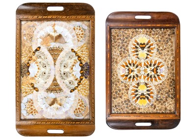 Lot 335 - Two early 20th century Brazilian butterfly wing trays.