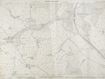 Lot 166 - 'Royal Restormel Iron Mine, Lostwithiel.'
