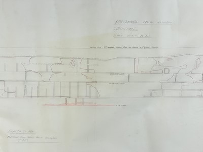 Lot 166 - 'Royal Restormel Iron Mine, Lostwithiel.'