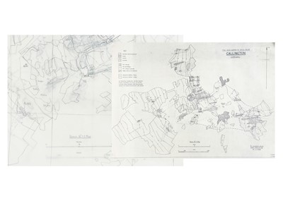 Lot 174 - 'Tin and Copper in Soils Near Callington, Cornwall'