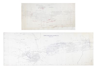 Lot 196 - 'Carnon Consolidated Tin Mines Ltd,'