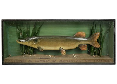 Lot 119 - An early 20th Century wood carved painted model of a Pike.