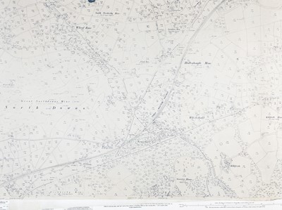 Lot 169 - Cornwall Tin & Mining Corporation.