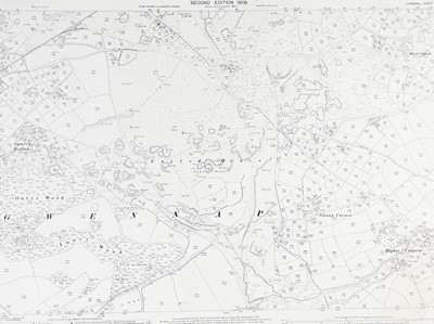 Lot 169 - Cornwall Tin & Mining Corporation.
