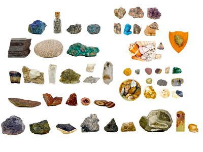 Lot 321 - A collection of shells and mineral specimens.