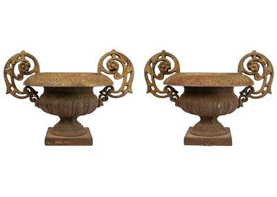 Lot 529 - A pair of French cast iron twin handled campana urns.