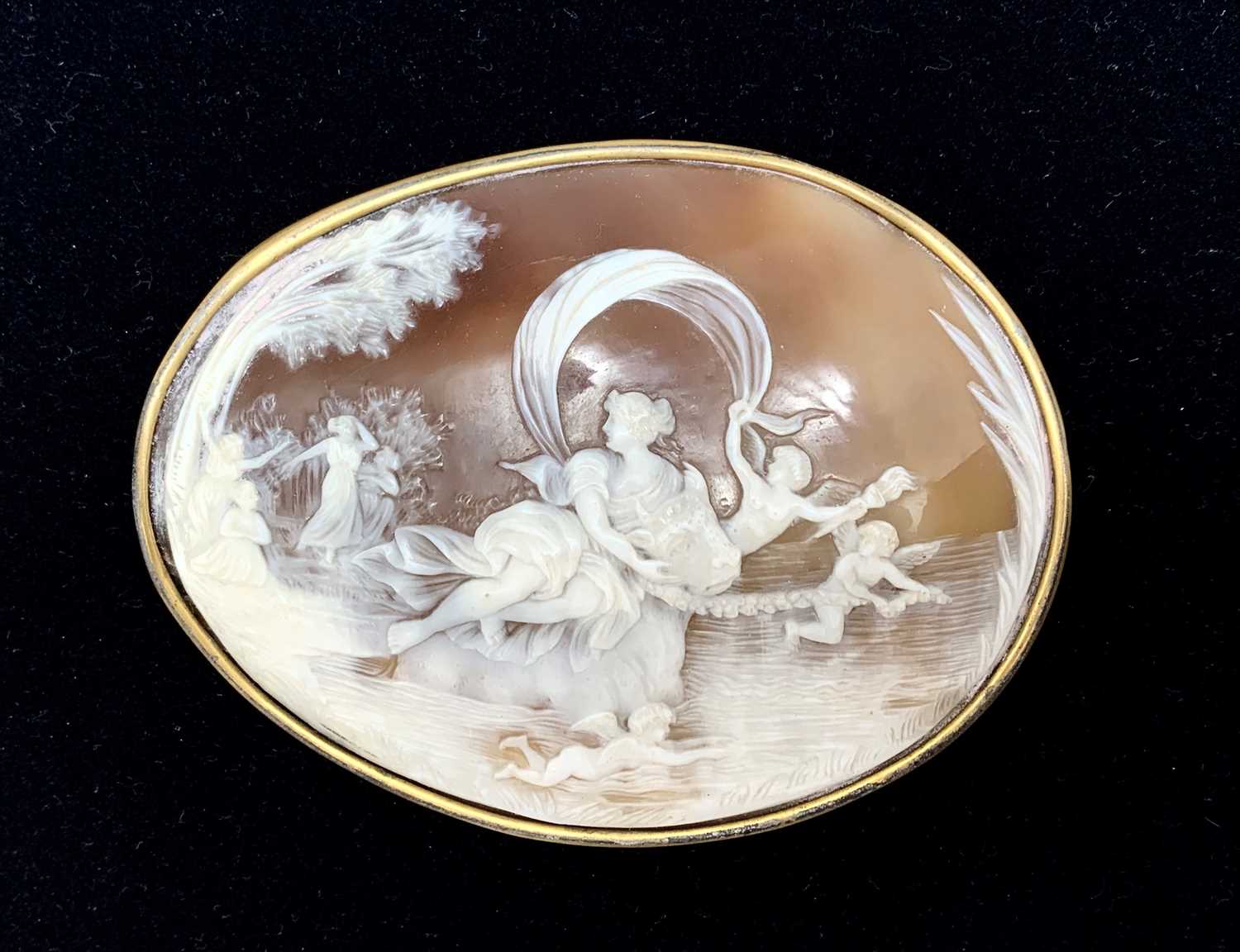 Lot 2463 - A large !9th century carved shell cameo...