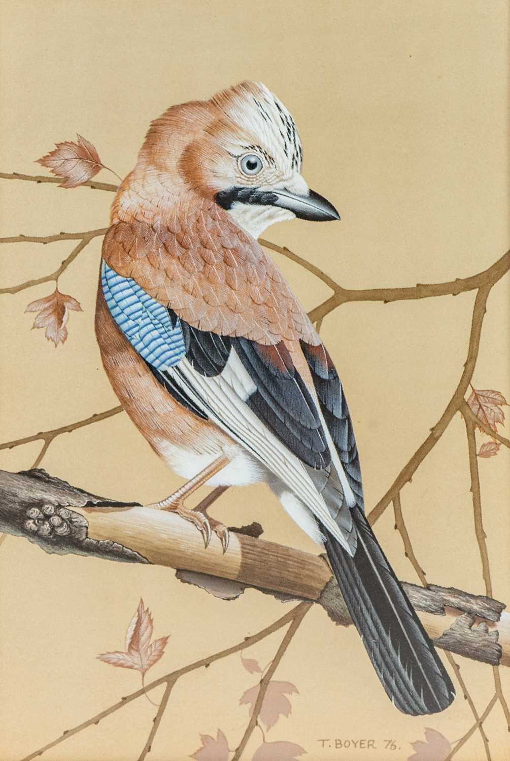 Lot 10 - Trevor BOYER (1948)