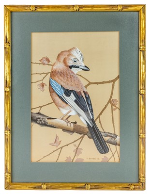 Lot 10 - Trevor BOYER (1948)