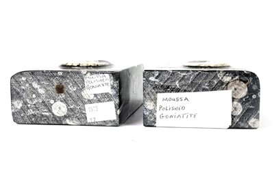 Lot 77 - A pair of polished goniatite orthoceras marble bookends.